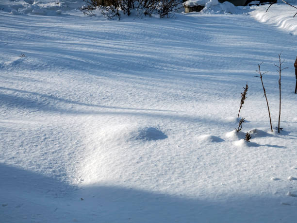 istock light shadows on the morning fresh snow 1301889140
