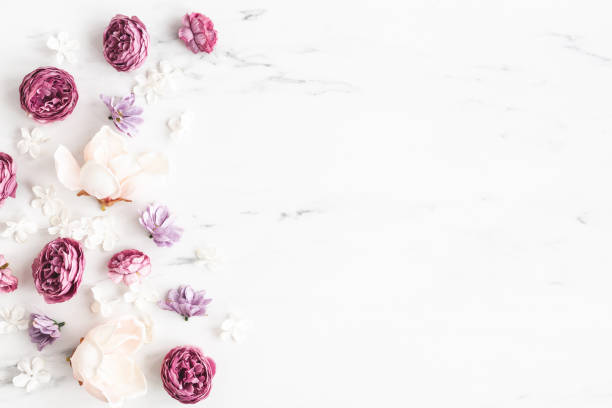 Flowers composition. White and purple flowers on marble background. Flat lay, top view Flowers composition. White and purple flowers on marble background. Flat lay, top view march month photos stock pictures, royalty-free photos & images