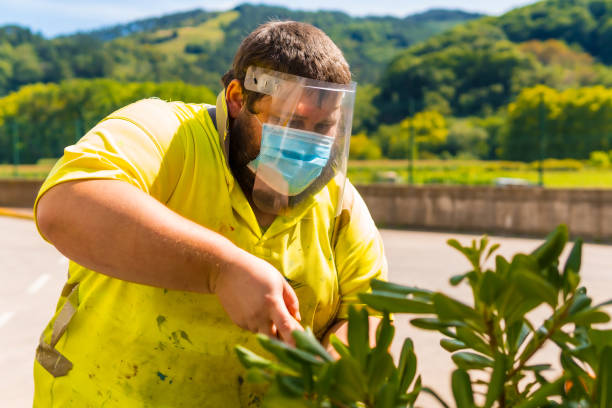 istock Worker in a recycling factory or clean point and garbage with a face mask and plastic protective screen, new normal, coronavirus pandemic, covid-19. Cutting and arranging the herbs 1301896422