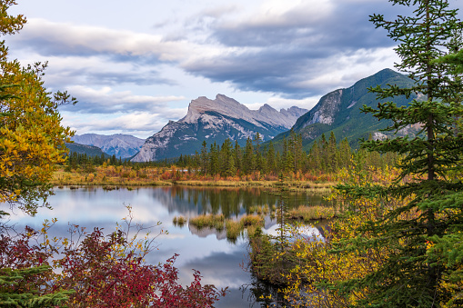 Vermilion Lakes autumn foliage scenery in dusk. Banff National Park, Canadian Rockies, Alberta, Canada. Colorful trees in red, yellow, golden colors. Mount Rundle, Sulphur Mountain in background.