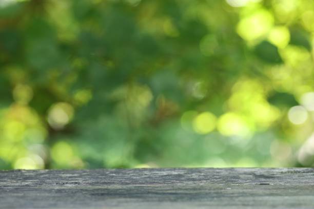 istock Beautiful summer green bokeh background or texture 1301898243