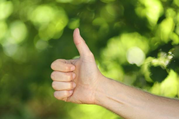 istock Like hand on a green summer background 1301898261