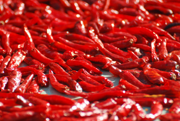 istock Abstract of Red Chilli is drying with sunlight 1301898758