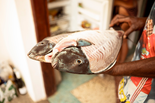 Two raw fish on the plate holding by the fisherman in domestic kitchen.