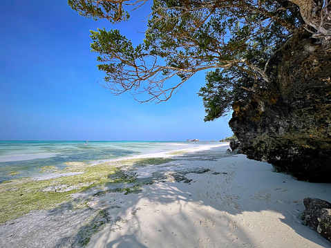 Beautiful Beach in Zanzibar, Tanzania. travel to an exotic country