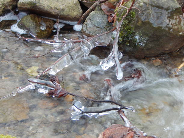 istock Frosty day at the creek in the forest 1301909560