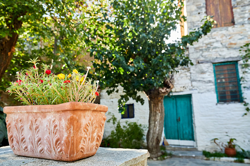 A flower pot with a traditional Greek house in the backround, Parthenonas village, Sythonia, Halkidiki peninsula - Greece