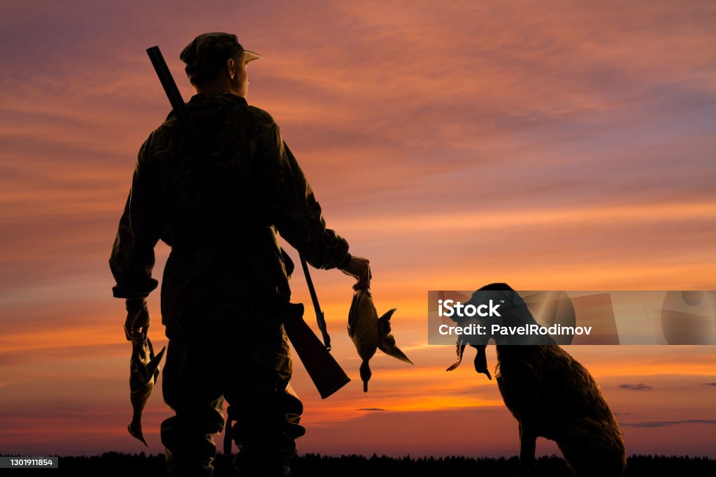 hunter and his dog with prey at sunset silhouettes of the duck hunter and his dog with prey on the sunset background Hunting - Sport Stock Photo