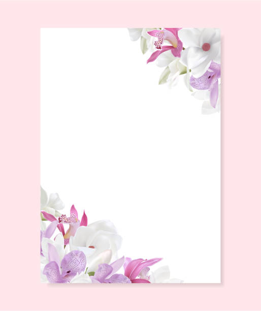 Love Letter Blank Template With Magnolia Orchid Flower On Background Stock  Illustration - Download Image Now - iStock