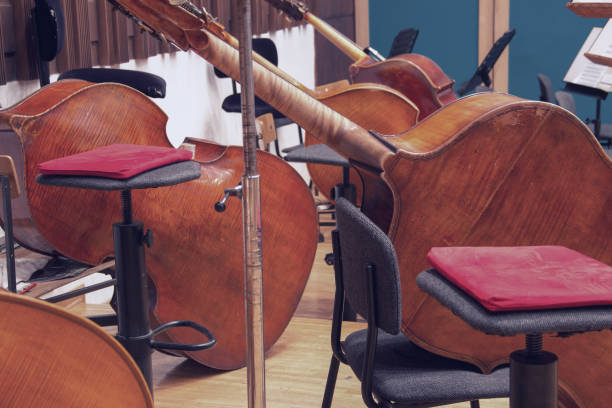 istock Close-up of contrabasses on a stage 1301920893