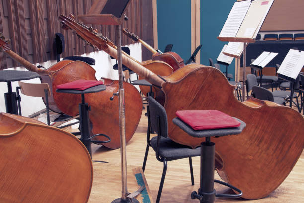 istock Close-up of contrabasses on a stage 1301920898