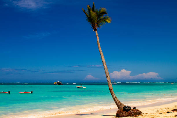 istock Tropical beach at Caribbean sea 1301921062