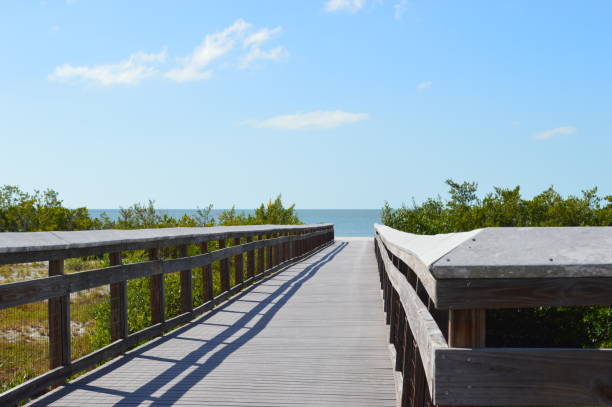 istock The way to the beach in Florida 1301922616