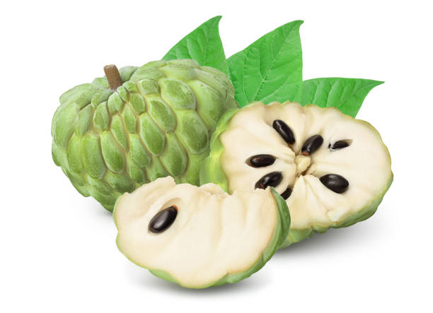 istock Sugar apple or custard apple half isolated on white background with clipping path and full depth of field. Exotic tropical annona or cherimoya fruit 1301925626