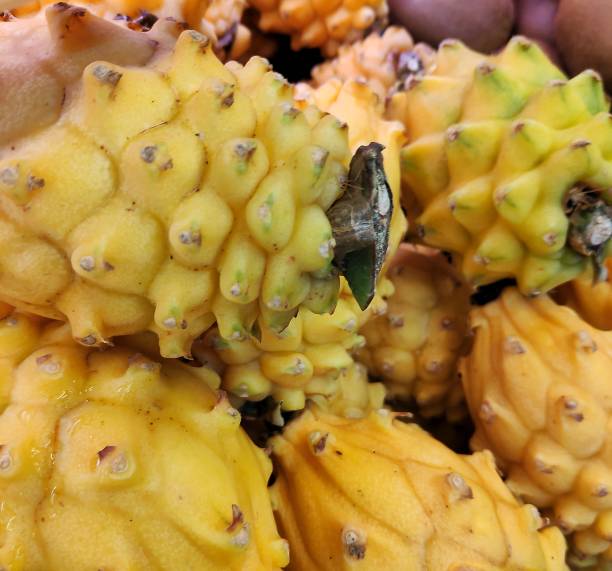 istock Yellow dragon fruits 1301926686