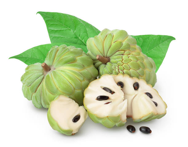 istock Sugar apple or custard apple isolated on white background with clipping path and full depth of field. Exotic tropical Thai annona or cherimoya fruit 1301926771