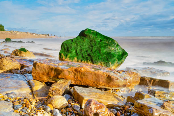 zielona skała - scenics coastline uk moss zdjęcia i obrazy z banku zdjęć