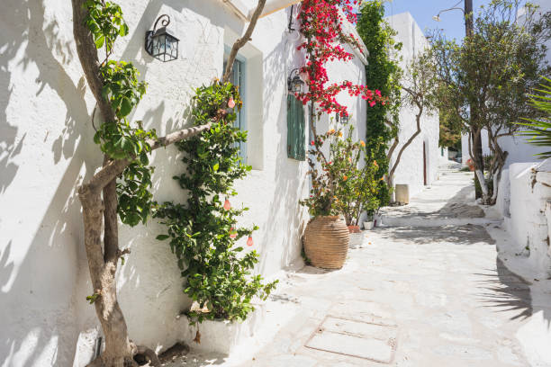 istock Traditional greek street, Cyclades, Greece 1301930210