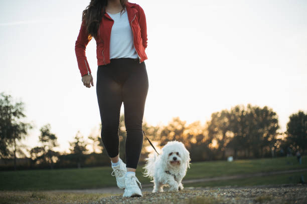 istock woman with dog 1301930245