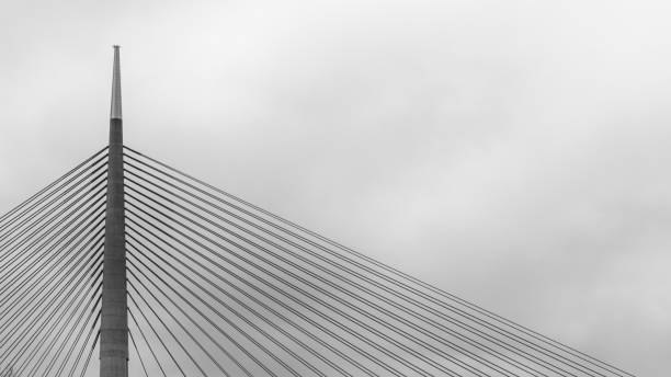 istock Ada Bridge in Belgrade, Serbia 1301931083