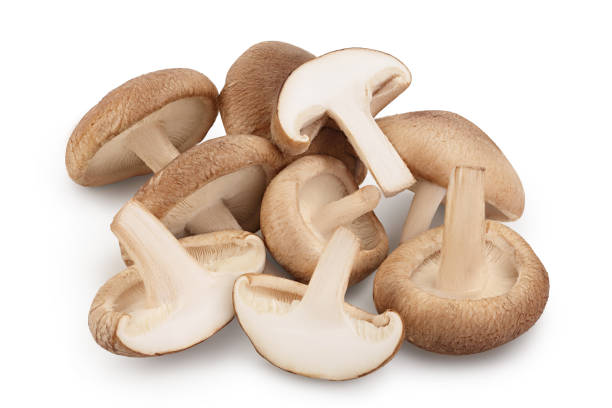 istock Fresh Shiitake mushroom isolated on white background with clipping path and full depth of field. 1301931207