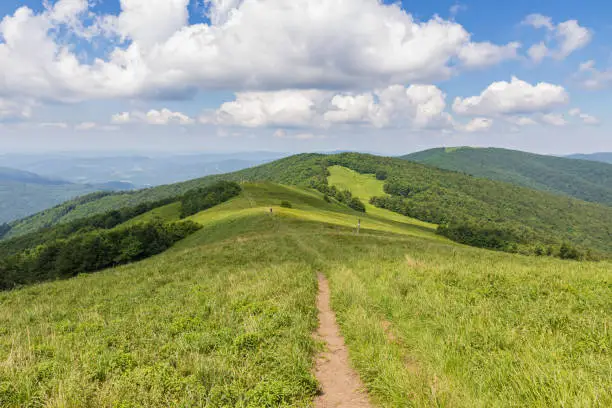 Long-distance hiking trail leading on mountain ridge in Poloniny national park, eastern Slovakia. Summer sunny day in nature. Carpathian pastures and woods.