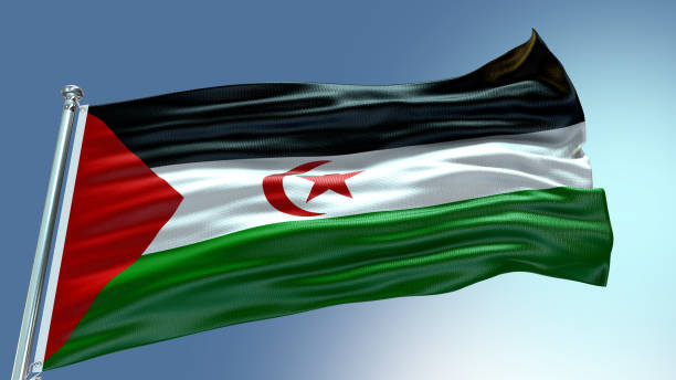 istock Western Sahara flag waving flag with texture background 1301934960