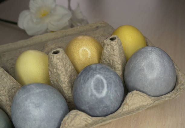 istock painted eggs for easter yellow and gray in a cardboard egg holder 1301935875