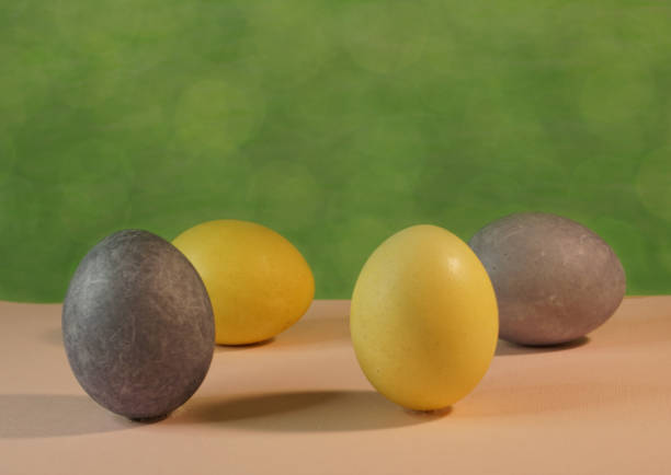 istock gray and yellow easter eggs on green background 1301935935