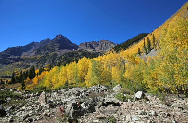 istock Rocks, aspen trees and Maroon Bells 1301936037
