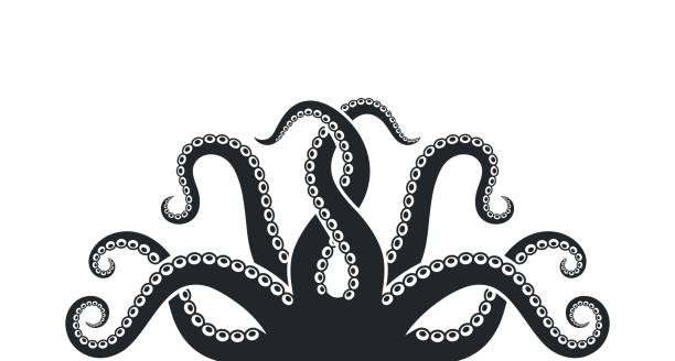 illustrazioni stock, clip art, cartoni animati e icone di tendenza di logo polpo. polpo isolato su sfondo bianco - tentacle
