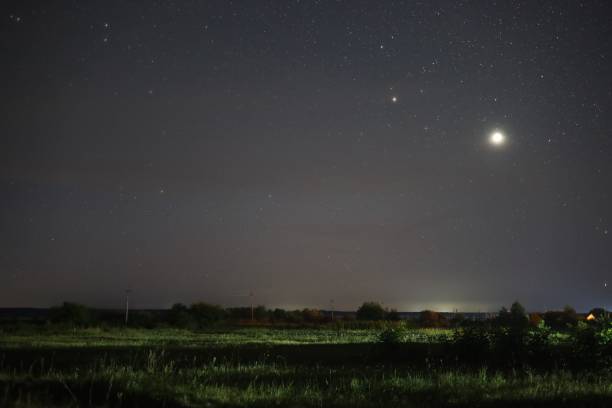 istock Summer starry night beautiful landscape 1301937089