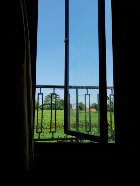 istock green garden from the room window 1301938094