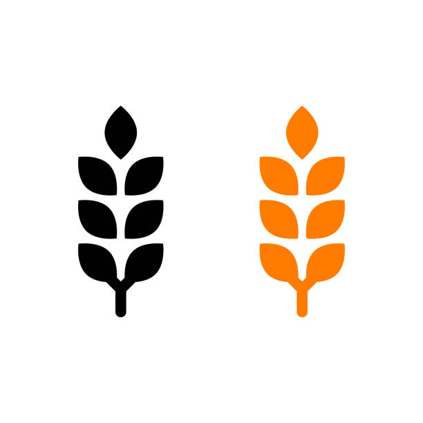 ilustrações, clipart, desenhos animados e ícones de ícone da linha vetorial plana de cevada, centeio, trigo, ilustração vetorial - barley black stem wheat
