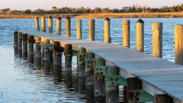 istock Pier in the Sea 1301941158