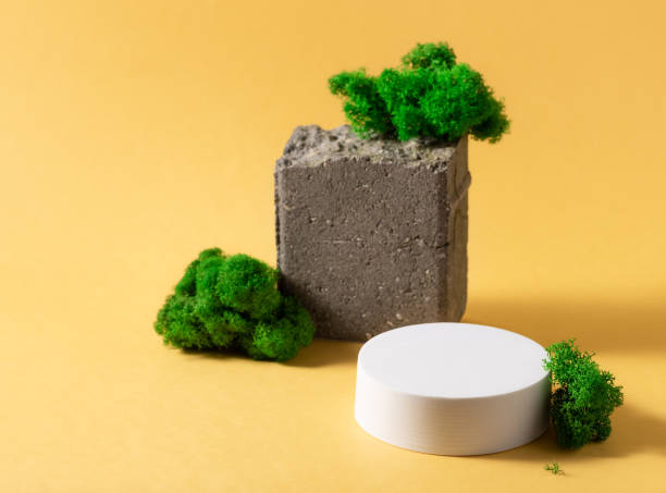 istock abstract composition with white podium, natural stone and moss 1301942056