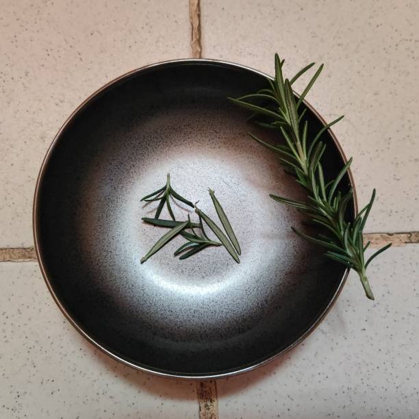 Rosemary on black saucer