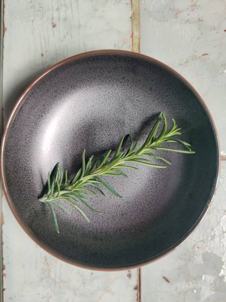 istock A rosemary in a black saucer 1301942235