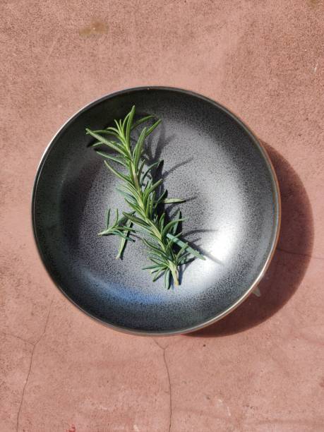 istock Rosemary on black saucer in terracotta background 1301942261