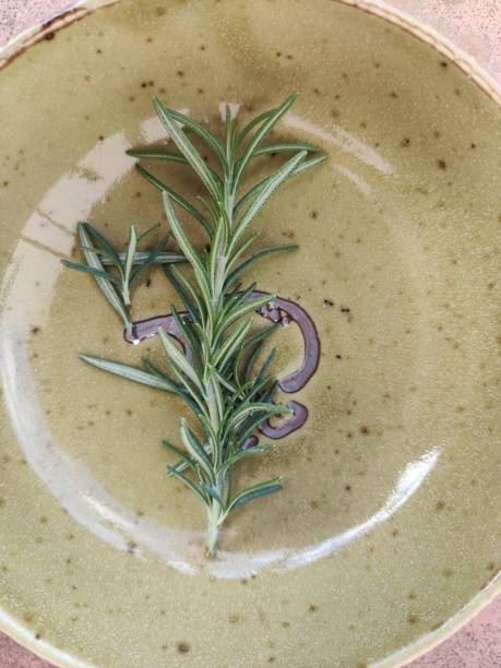 istock Single rosemary on a yellow-brownish saucer 1301942276
