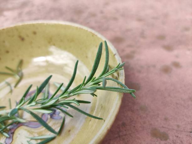 istock Single rosemary on a yellow-brownish saucer 1301942277
