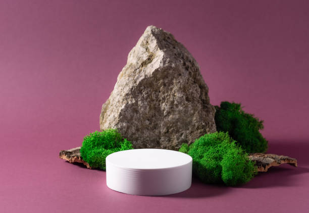 istock abstract background with white podium, natural stone and moss 1301943522