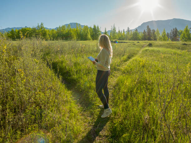 istock Female hiker follows path through green mountain meadow 1301949488