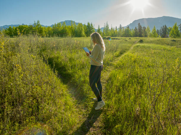 Female hiker follows path through green mountain meadow