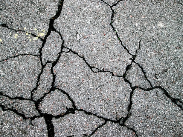 Crack in the asphalt.