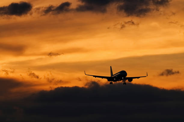 istock Aircraft landing at sunset 1301950988