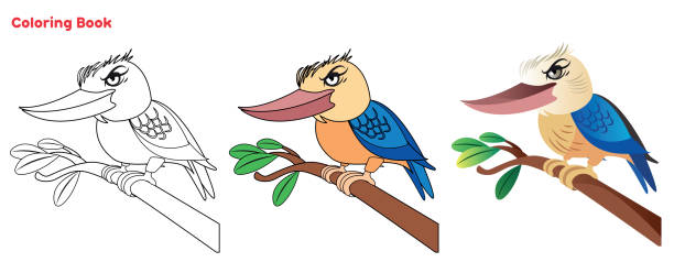 Cute Kookaburra coloring book Vector Cute Kookaburra coloring book kookaburra stock illustrations