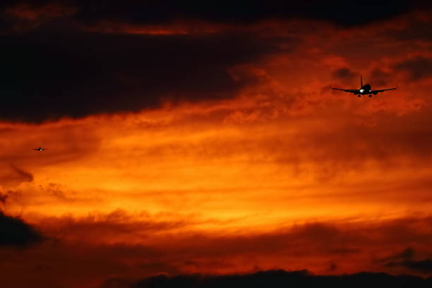 istock Aircrafts landing at sunset 1301951117
