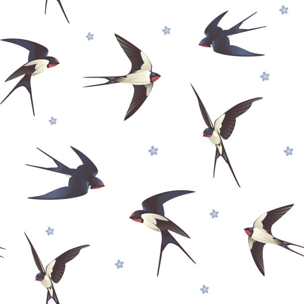 Seamless background with swallows Seamless background with swallows, pattern with a flock of birds swallow bird illustrations stock illustrations