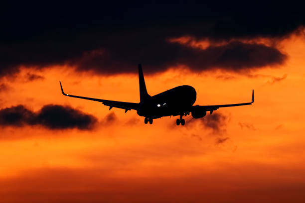istock Aircraft landing at sunset 1301951173